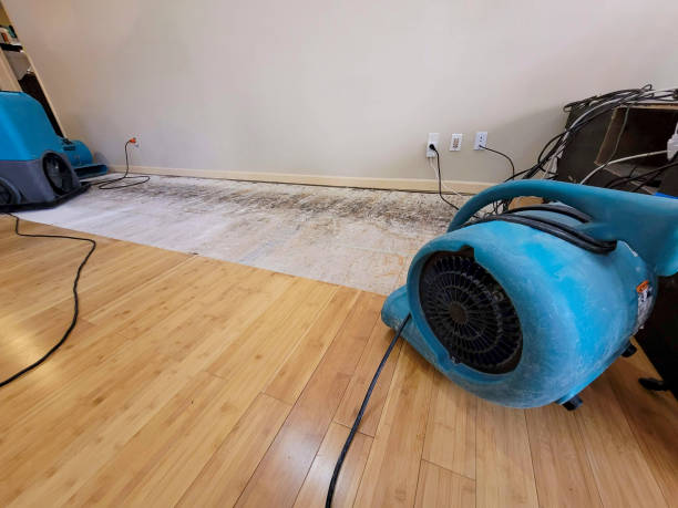 Professional Flood Damage Cleanup technician working in Natalia, TX